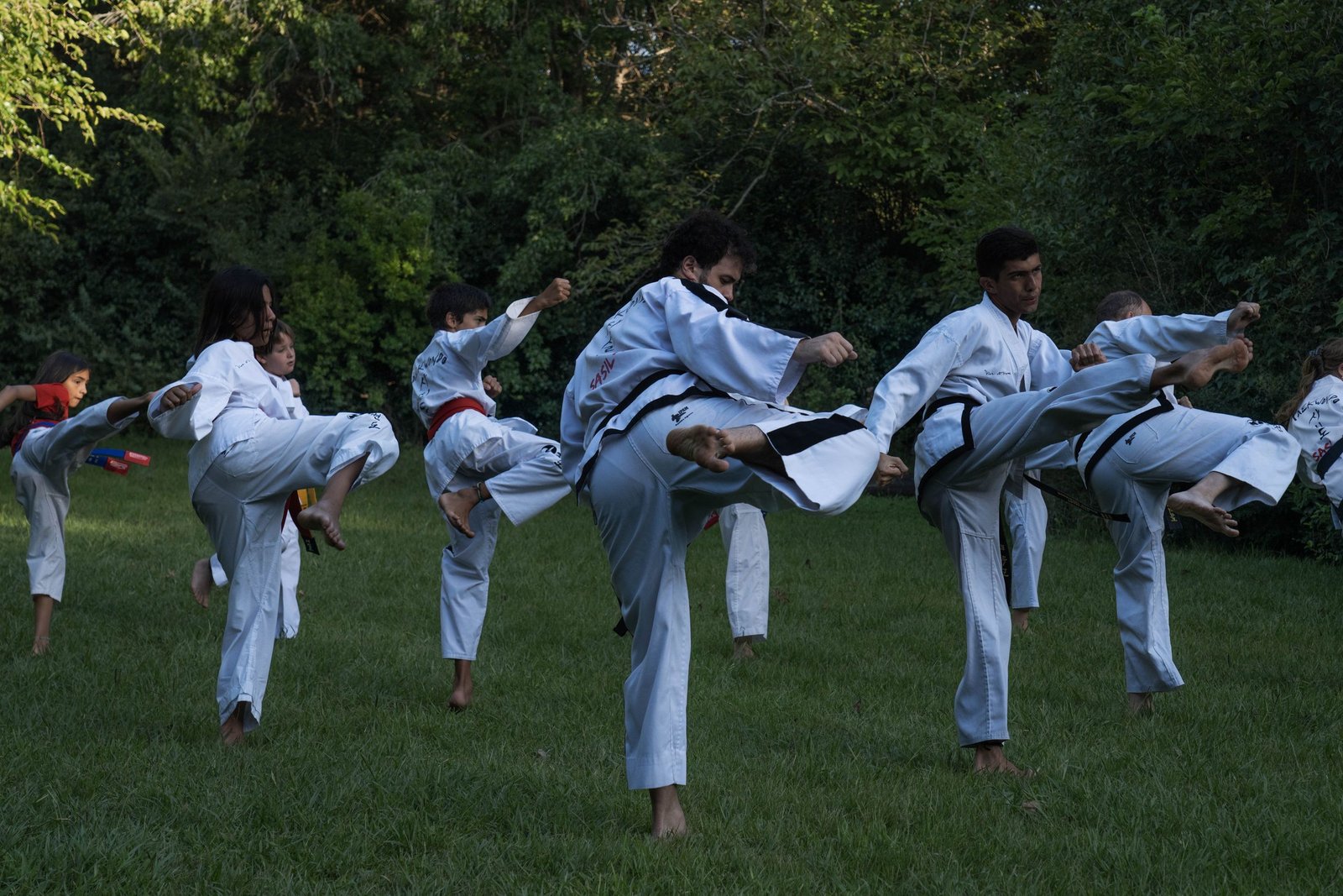 Group of karate students practicing high kicks outdoors in Buenos Aires.